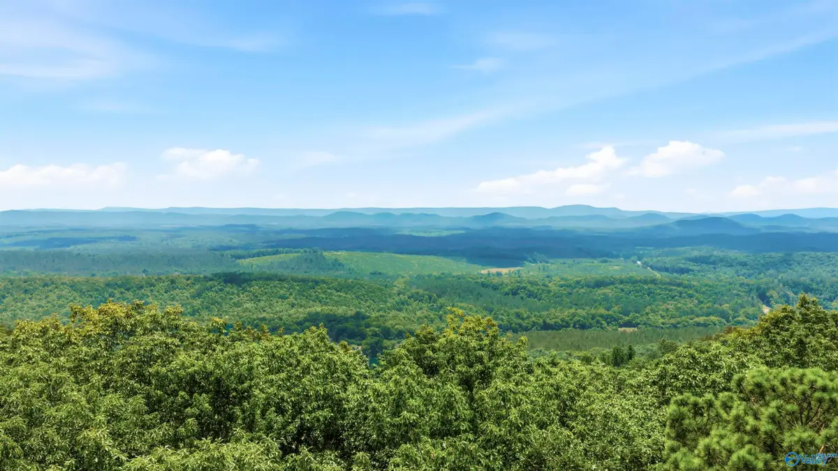 773 County Road 861, Gaylesville, AL 35973 - #1
