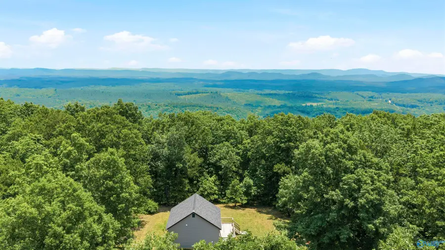 773 County Road 861, Gaylesville, AL 35973 - #2