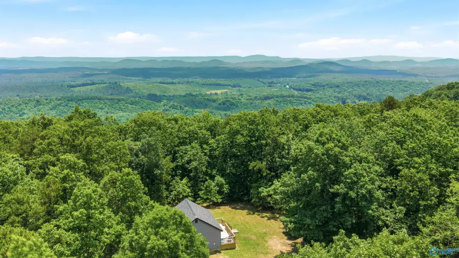 773 County Road 861, Gaylesville, AL 35973 - #3