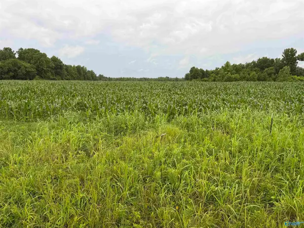 786 Acres County Road 133, Town Creek, AL 35672