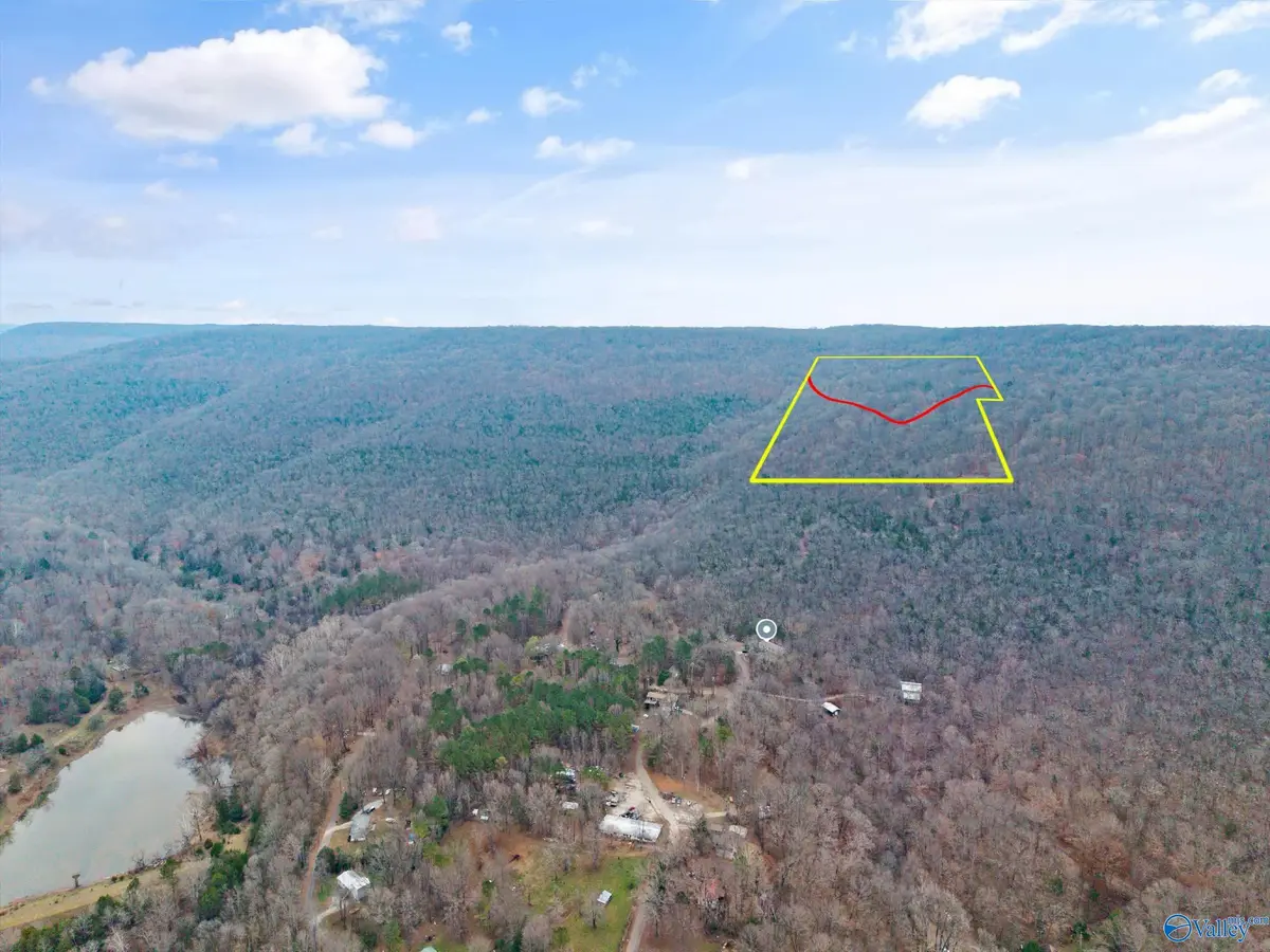 20 Acres, Hollytree, AL 35751 - #1