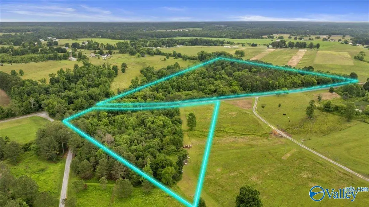 1639 County Road 368, Section, AL 35771 - #1