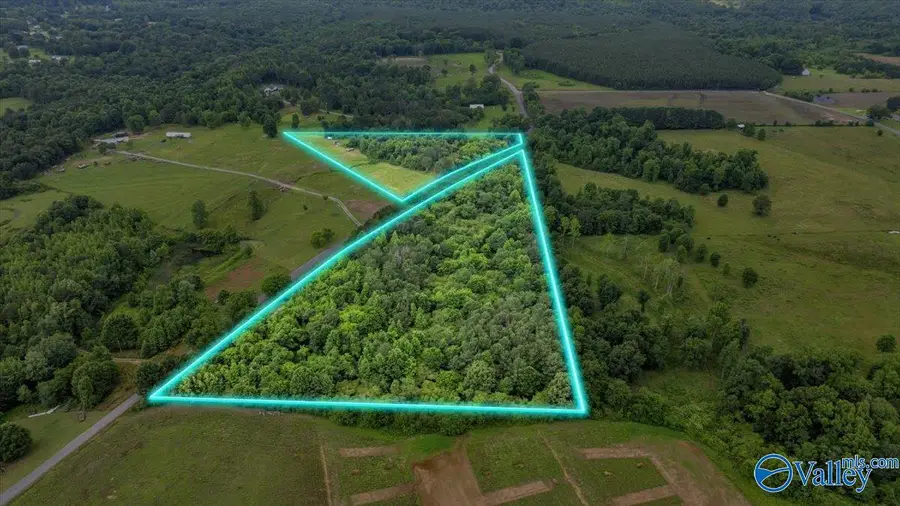 1639 County Road 368, Section, AL 35771 - #3