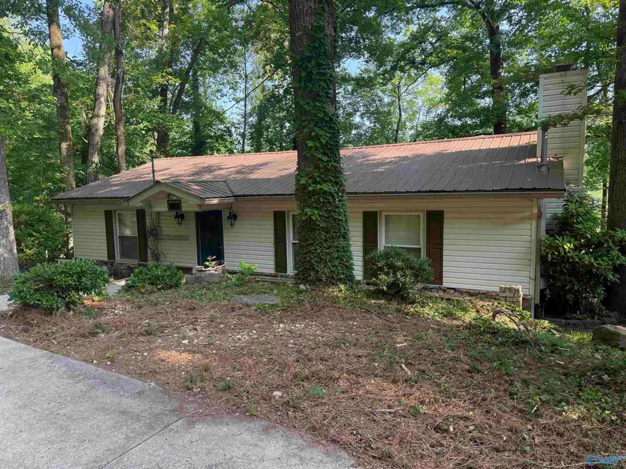 4512 Hideaway Drive, Guntersville, AL 35976 - #2