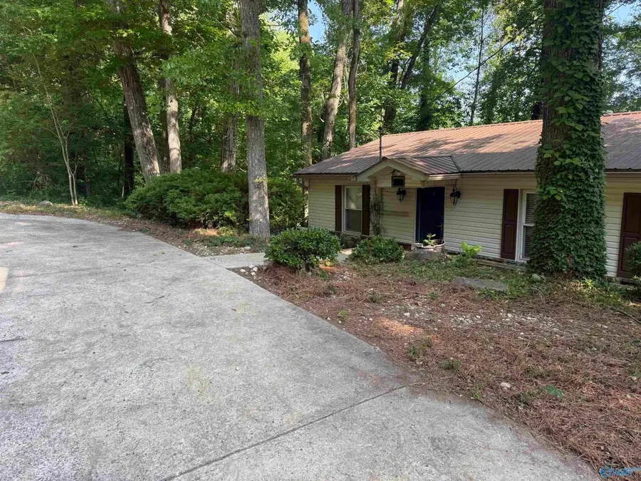 4512 Hideaway Drive, Guntersville, AL 35976 - #3