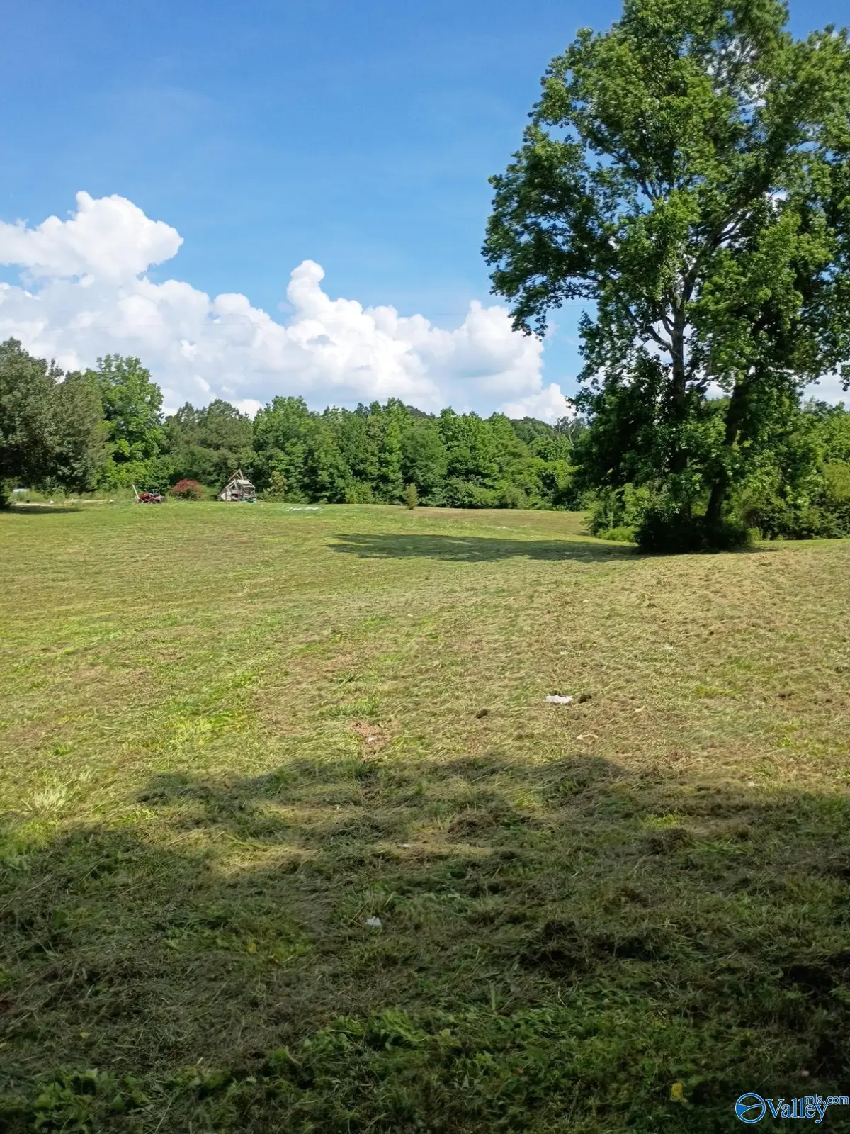 757 Mockingbird Road, Arab, AL 35016 - #1