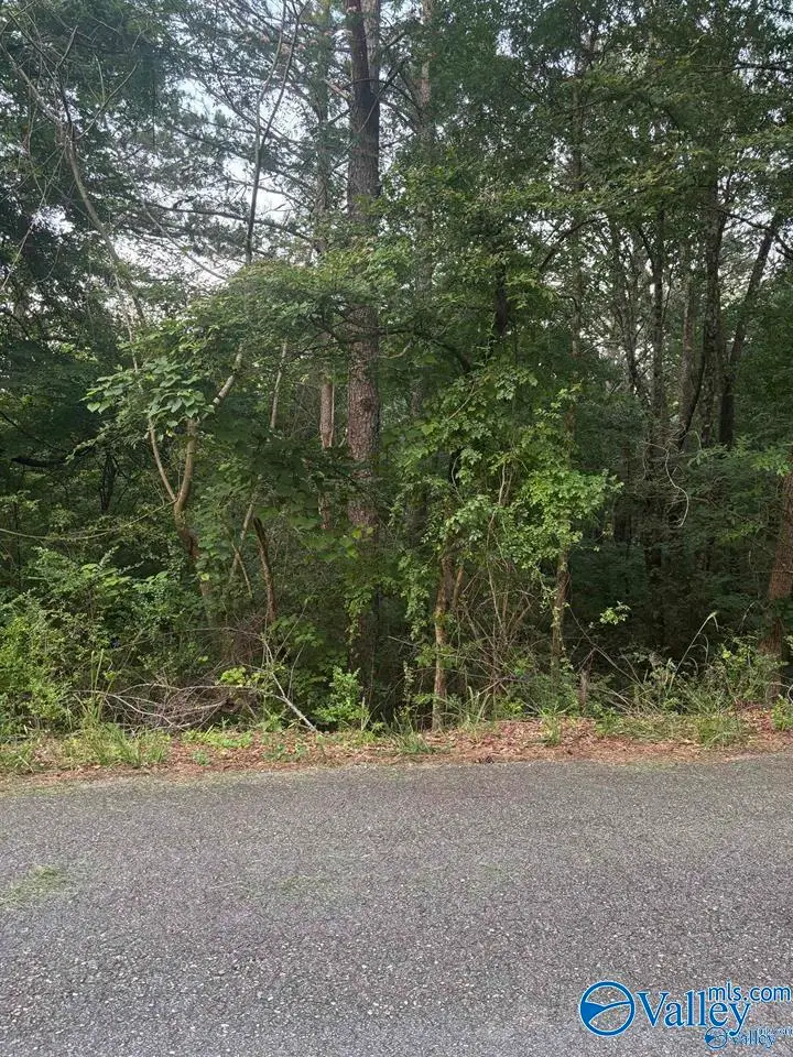 .73 Berkley Hills Drive S, Southside, AL 35907 - #3