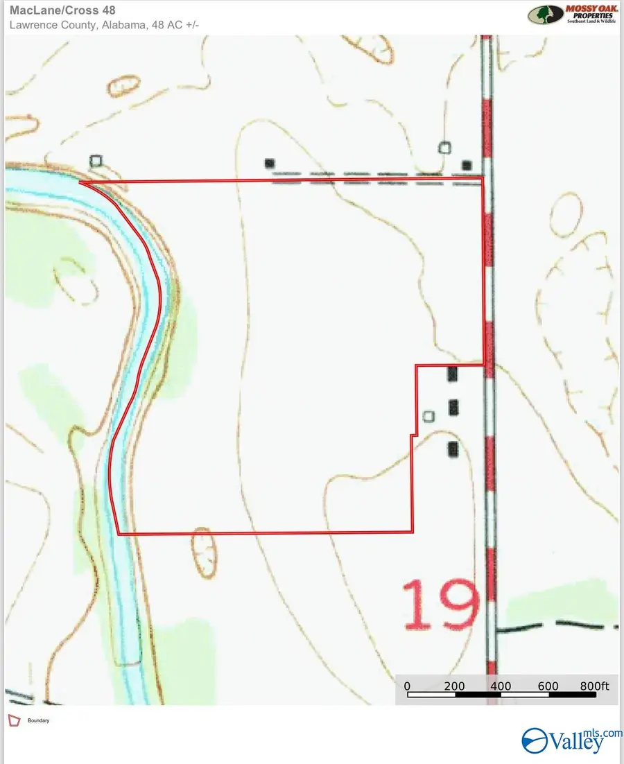150 County Road 150, Courtland, AL 35618 - #2