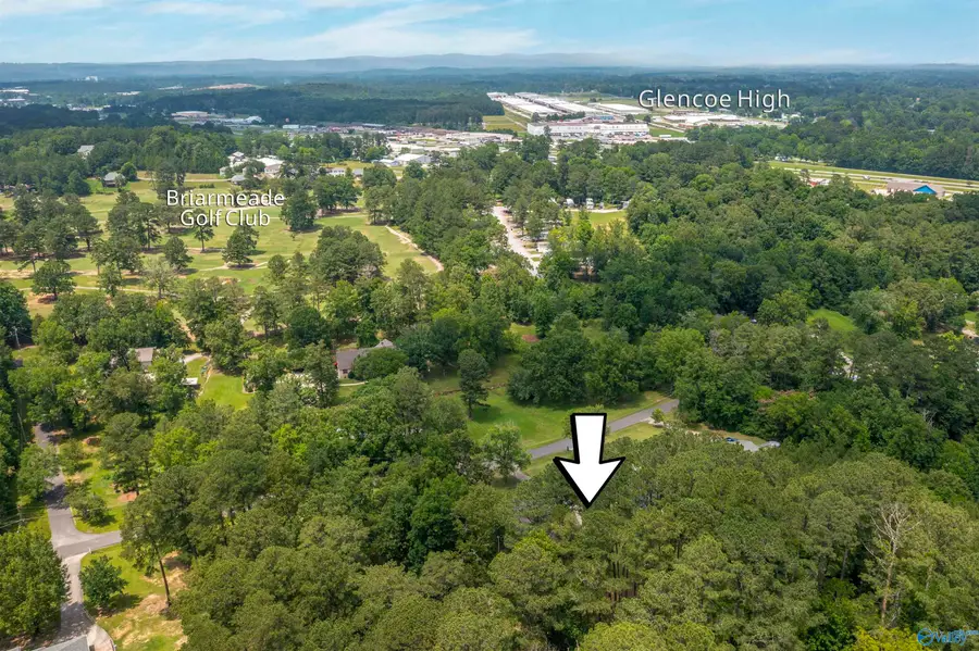 411 Macon Drive, Glencoe, AL 35905 - #3