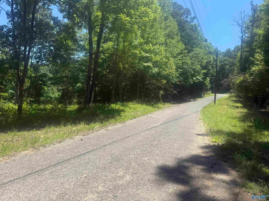 16 AC Bishop Mountain Road, Grant, AL 35747 - #2