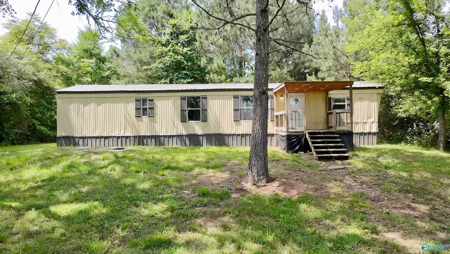 166 Blue Bend Road, Albertville, AL 35951 - #3