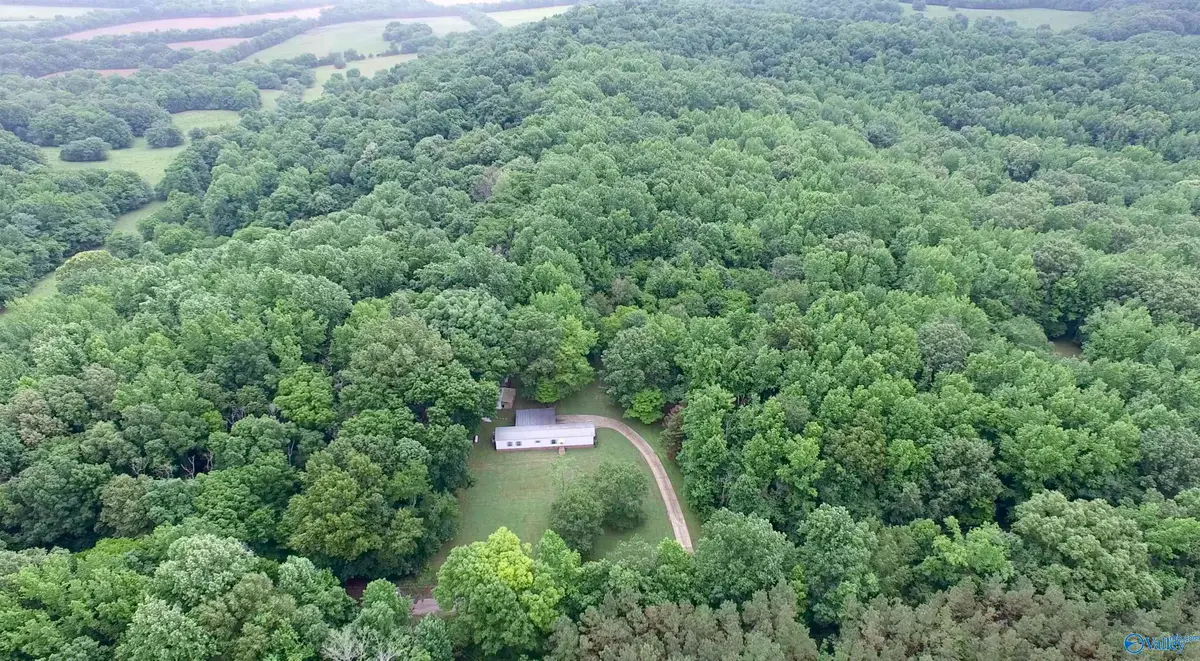29810 Upper Bethel Road, Elkmont, AL 35620 - #1
