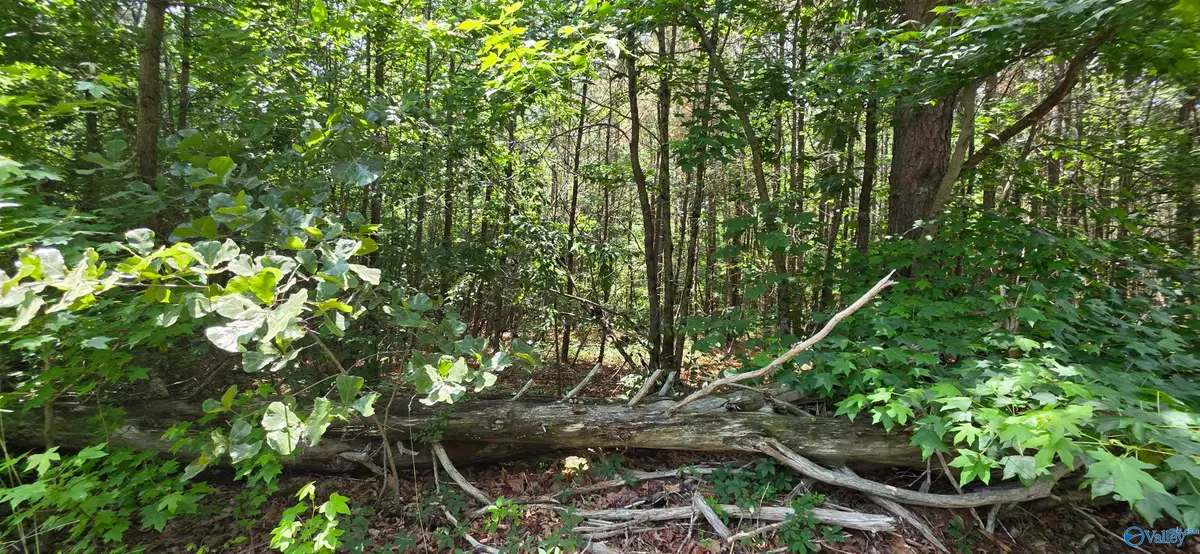 4.55ac County Road 730, Henagar, AL 35978 - #1