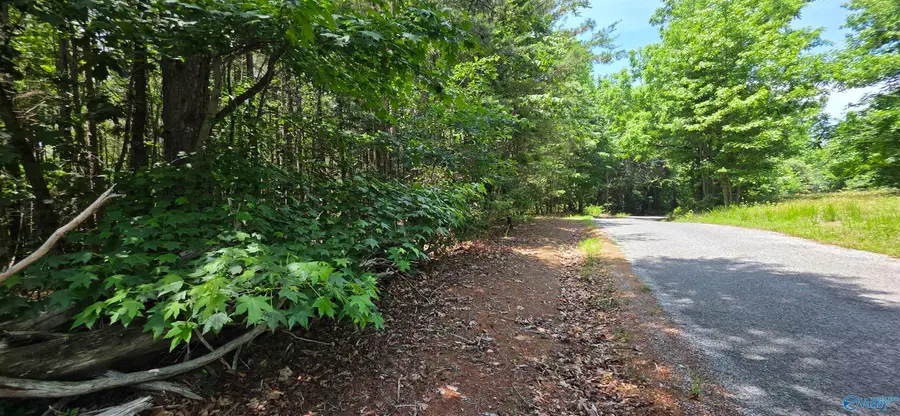 4.55ac County Road 730, Henagar, AL 35978 - #2