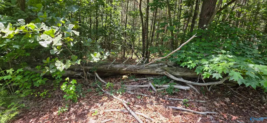 4.55ac County Road 730, Henagar, AL 35978 - #3