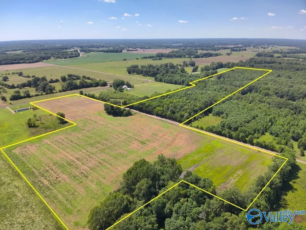 47 Acres Tanner Road, Danville, AL 35619 - #1