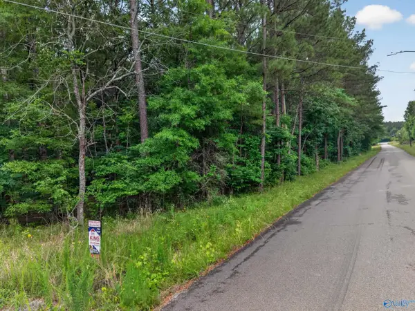 2 lots Christopher Avenue, Southside, AL 35907