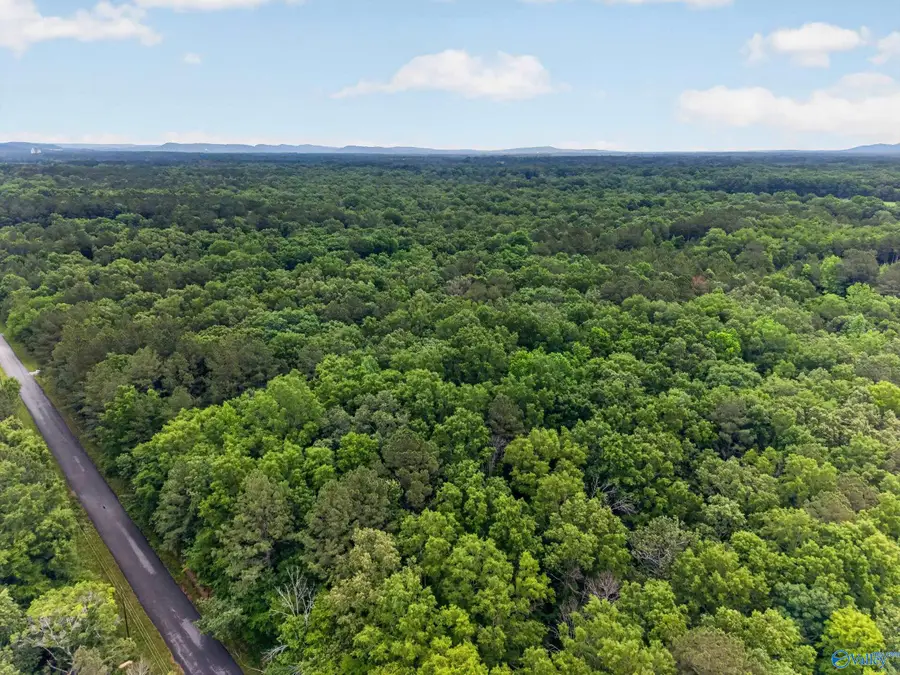 2 lots Christopher Avenue, Southside, AL 35907 - #3