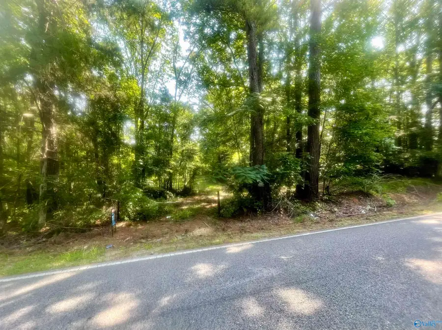 11810 County Road 9, West Blocton, AL 35184 - #3