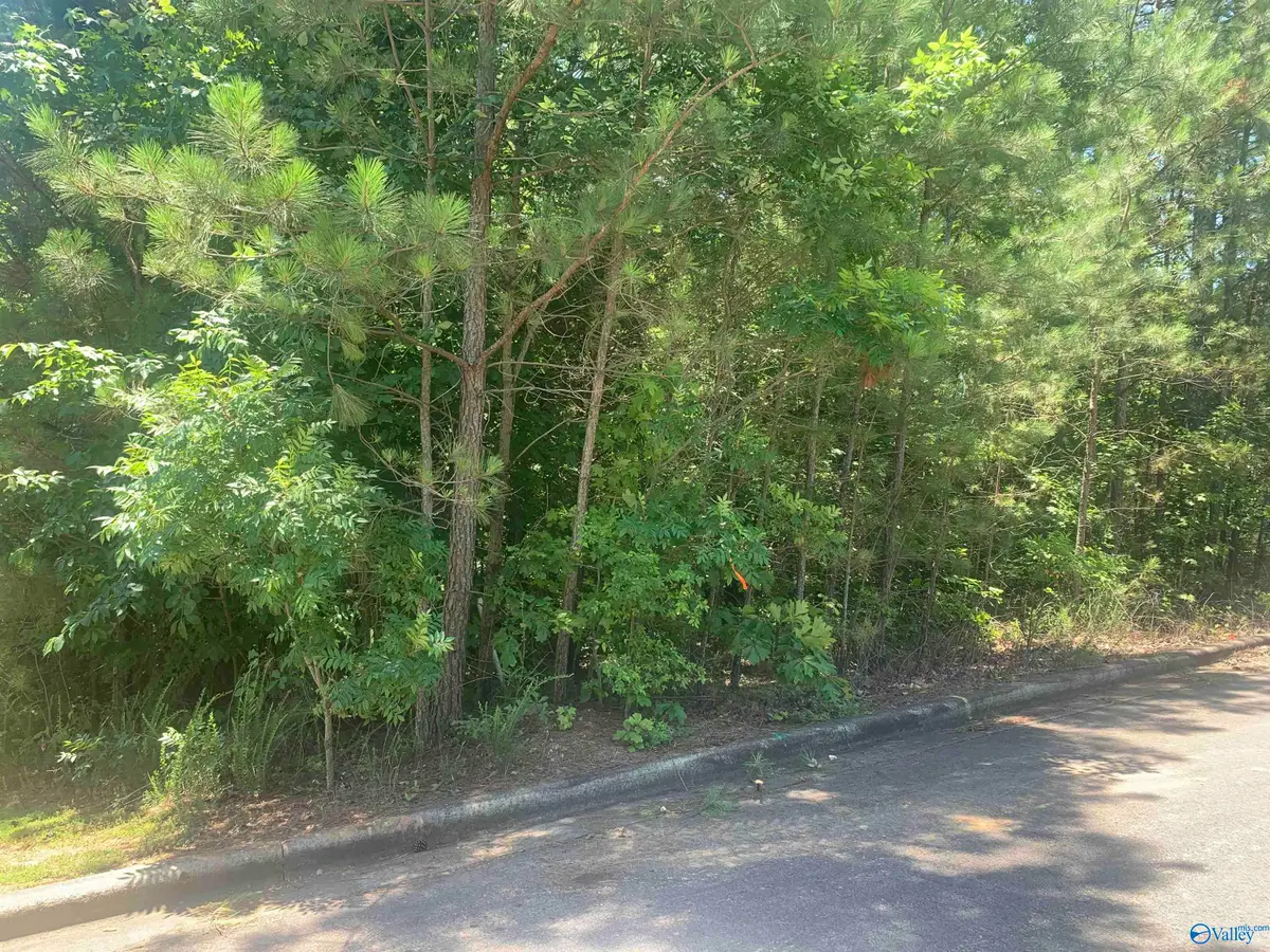 LOT 33 Cade Circle #LOT 33, Leesburg, AL 35983 - #1
