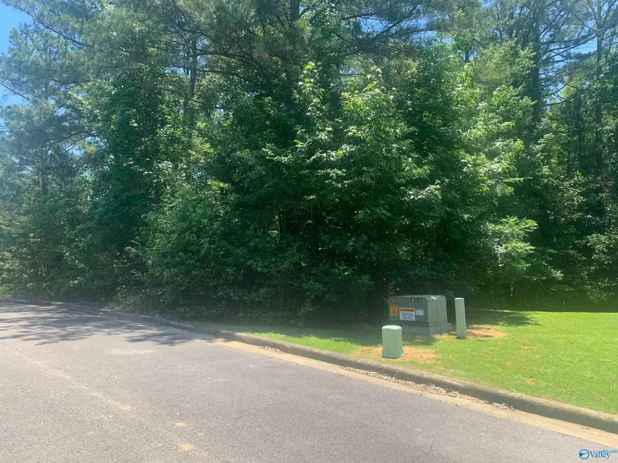 LOT 33 Cade Circle #LOT 33, Leesburg, AL 35983 - #2