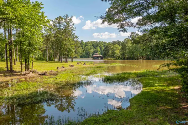 89 Golden Pond Road, Ashville, AL 35953