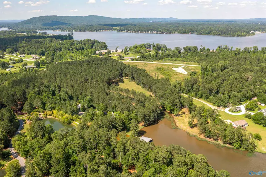 89 Golden Pond Road, Ashville, AL 35953 - #3