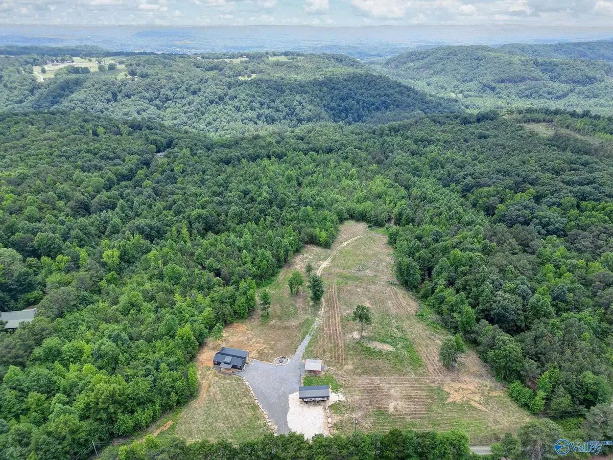 1129 N Sloan Drive, Blountsville, AL 35031 - #1
