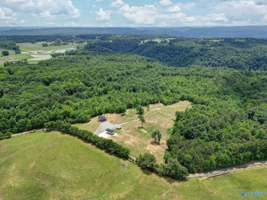 1129 N Sloan Drive, Blountsville, AL 35031 - #2