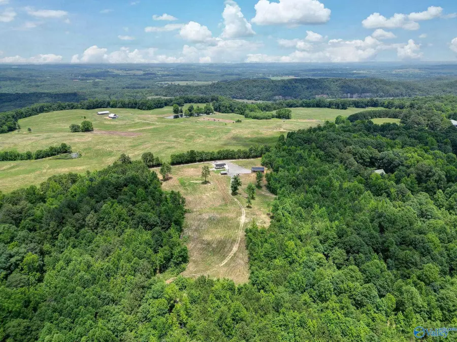 1129 N Sloan Drive, Blountsville, AL 35031 - #3