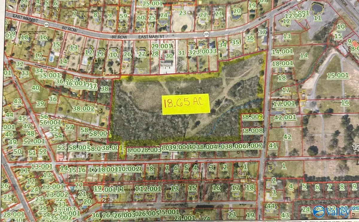 18.65 Columbus Street, Albertville, AL 35950 - #1