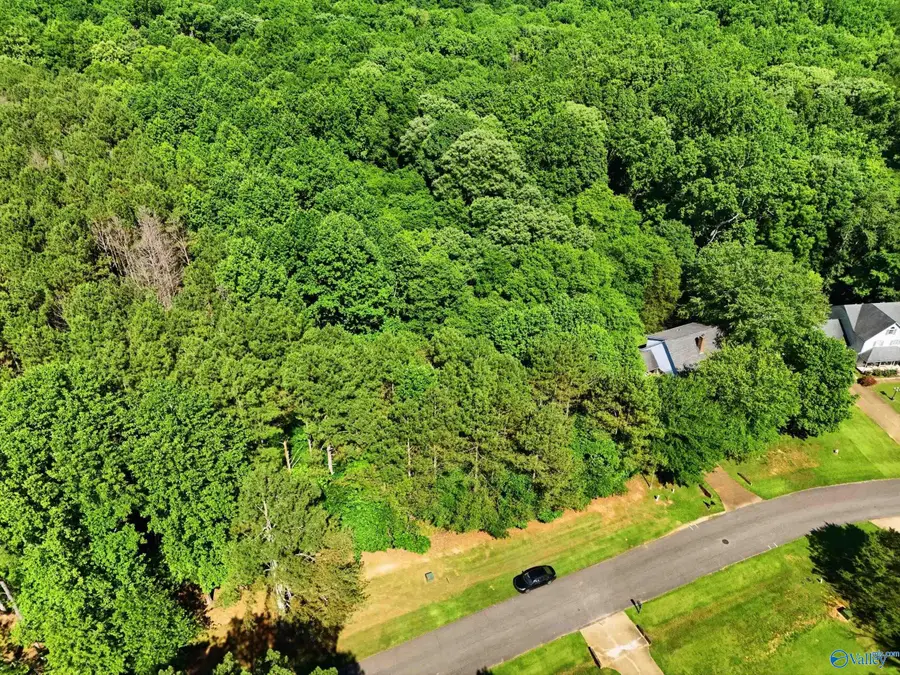 Lot 1 Poplar Drive, Elkmont, AL 35620 - #2