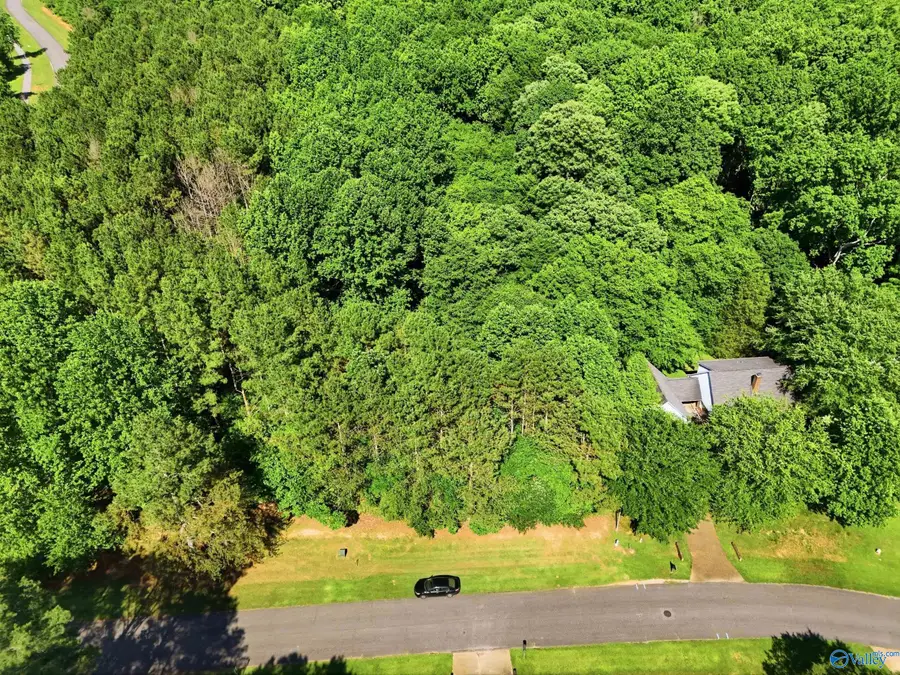 Lot 1 Poplar Drive, Elkmont, AL 35620 - #3