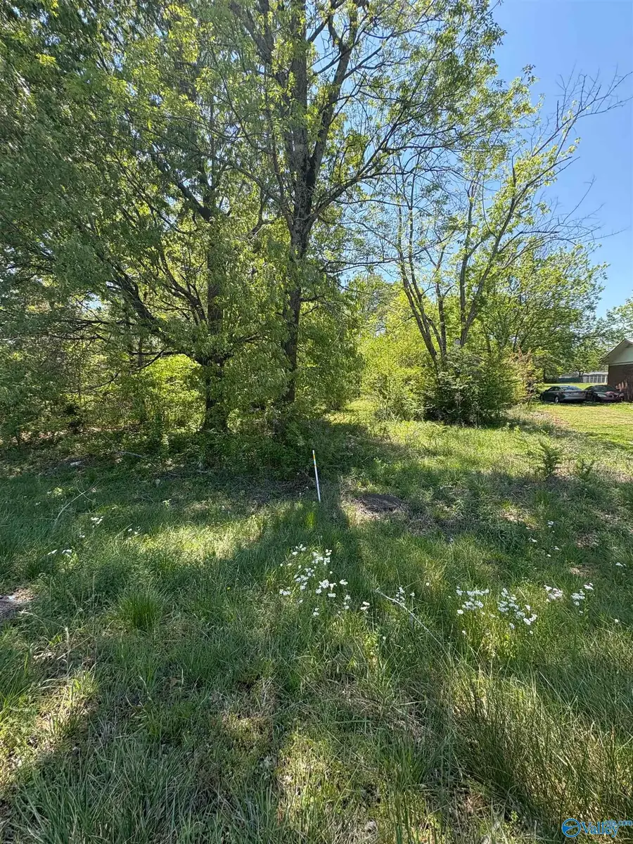 2906 Veterans Drive, Scottsboro, AL 35769 - #2