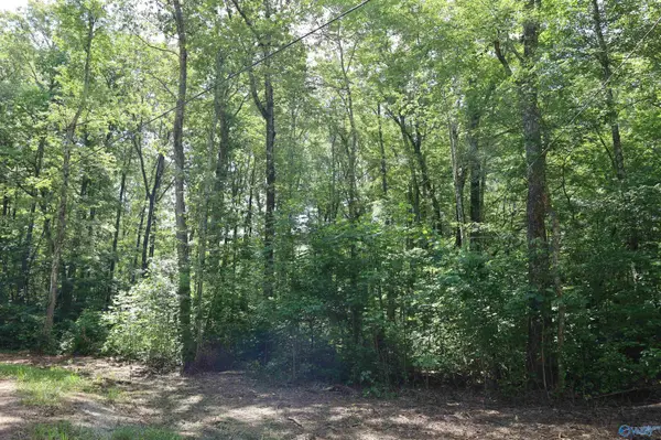 1.47 Acres Libby Lane, Mentone, AL 35984