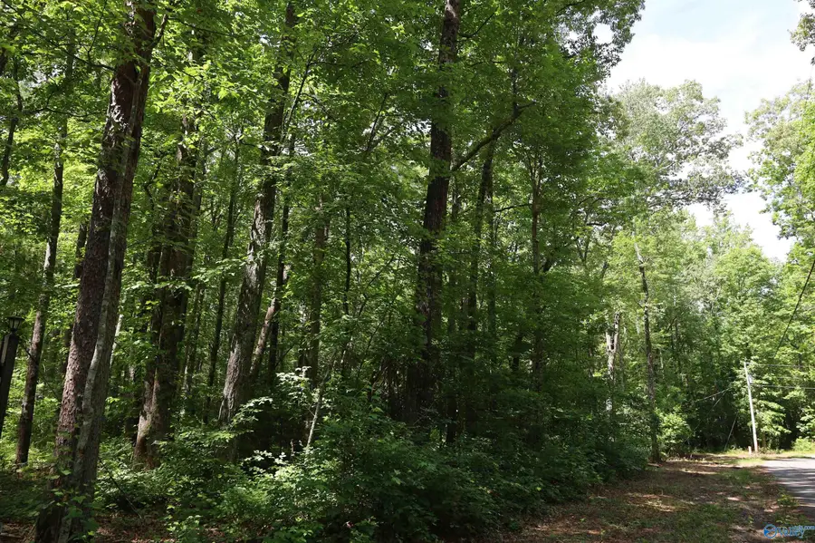1.47 Acres Libby Lane, Mentone, AL 35984 - #2
