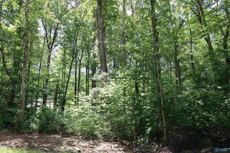 1.47 Acres Libby Lane, Mentone, AL 35984 - #3