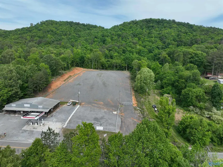 3.48 acres Alabama Highway 227, Guntersville, AL 35976 - #3