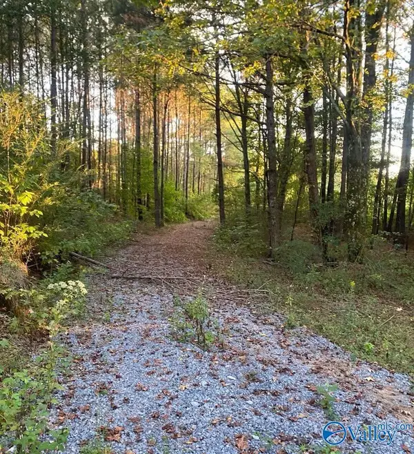 3.7 Acres County Highway 10, Blountsville, AL 35031