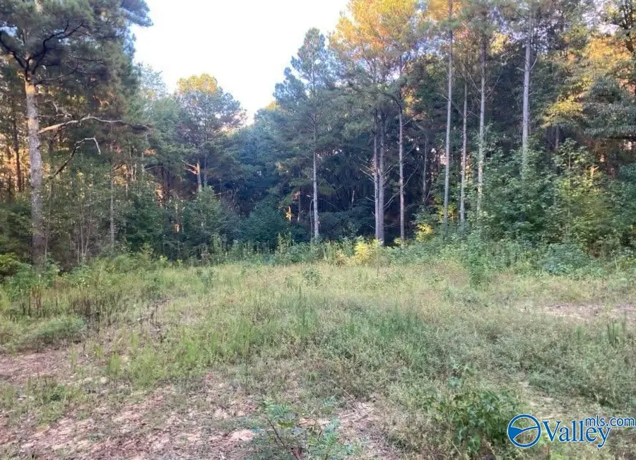 3.7 Acres County Highway 10, Blountsville, AL 35031 - #3