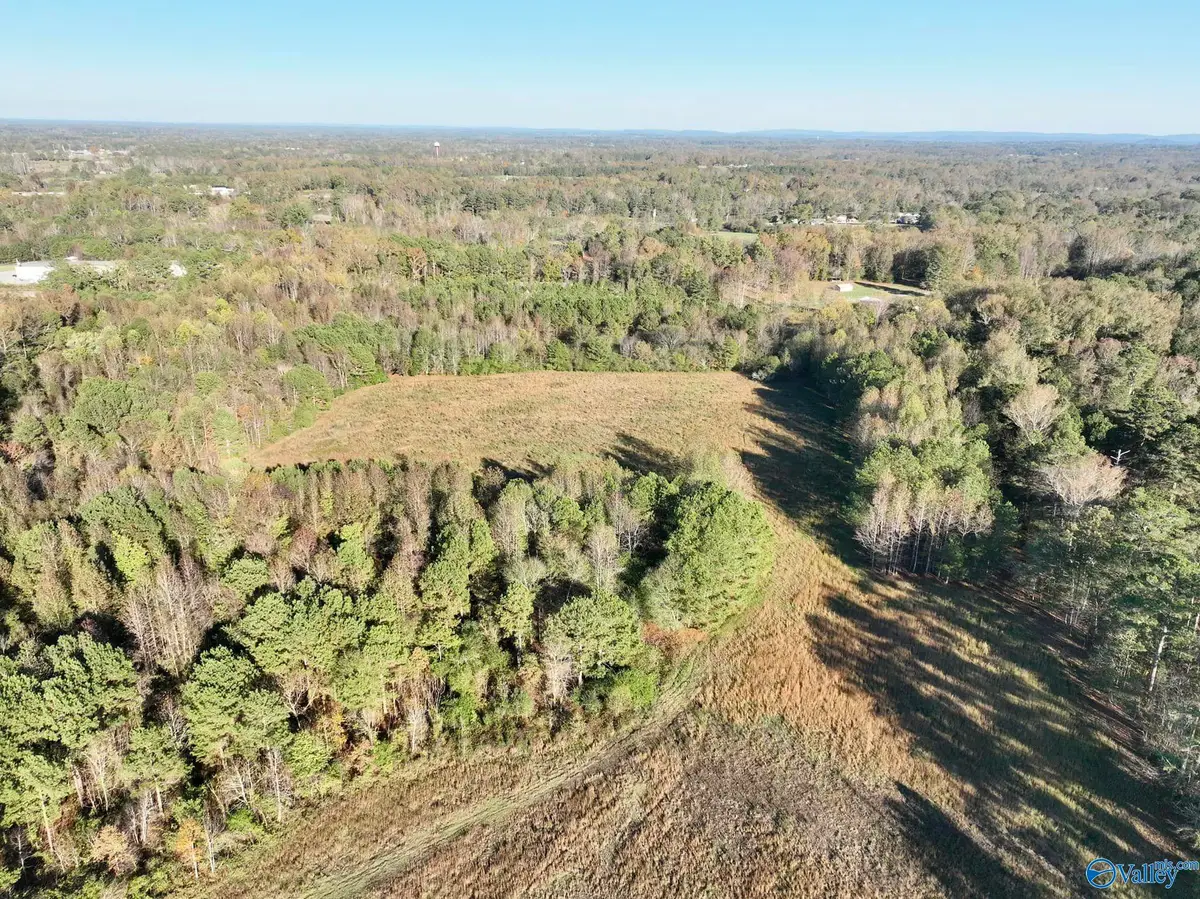 21 Acres +/- Pleasant Hill Church Road, Boaz, AL 35956 - #1