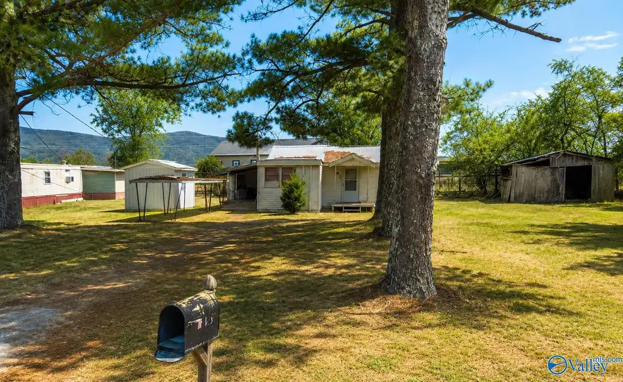 101 Ike Road, Owens Cross Roads, AL 35763 - #2
