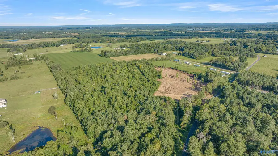 27.5 County Road 51, Dutton, AL 35744 - #3
