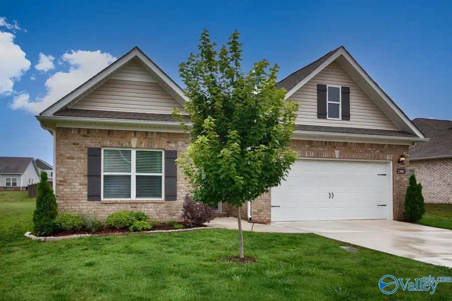 13801 Hill Place Lane, Athens, AL 35611 - #3