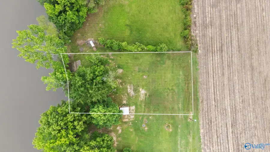 Lot 29 County Road 789, Centre, AL 35960 - #3
