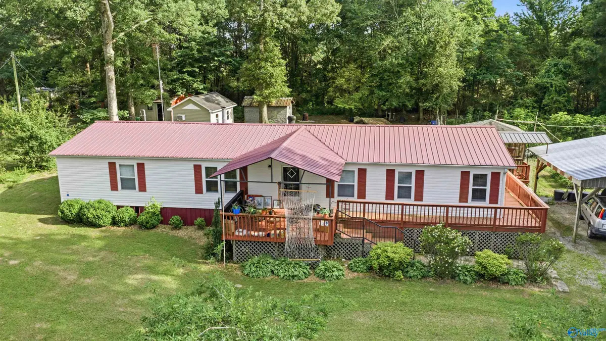 113 County Road 535, Fyffe, AL 35971 - #1