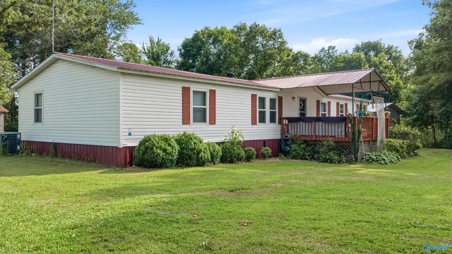 113 County Road 535, Fyffe, AL 35971 - #3