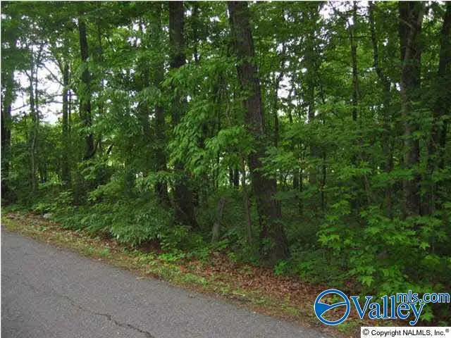 01 8th Avenue, Arab, AL 35016 - #1