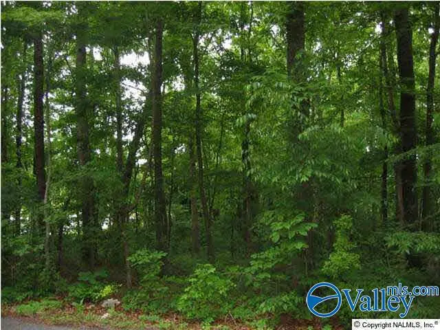 01 8th Avenue, Arab, AL 35016 - #2