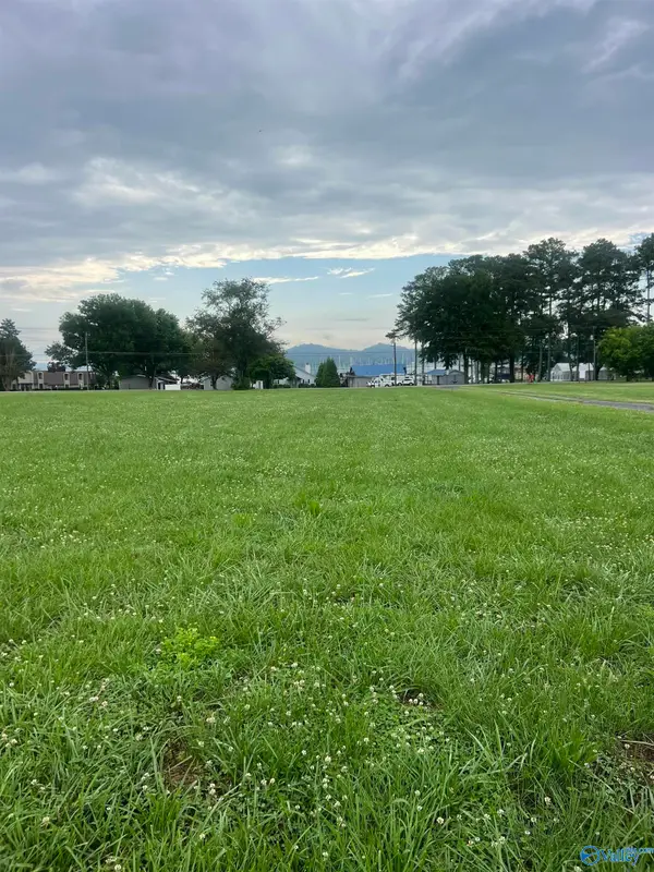 Lot 7 Browns Creek Road, Guntersville, AL 35976